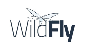 JBoss Wildfly